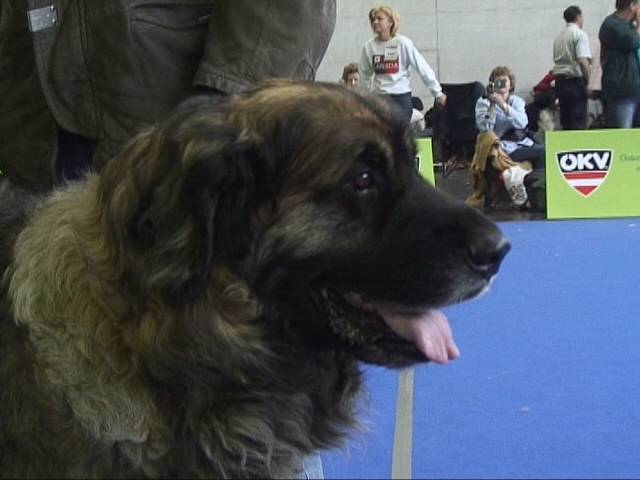 Salzburg Clubschau Mai 06 077 